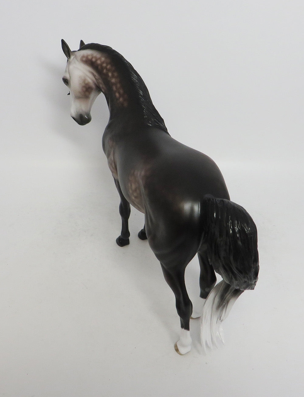 MAGIC POTION- OOAK DAPPLED GREY ANDALUSIAN 10/26/18