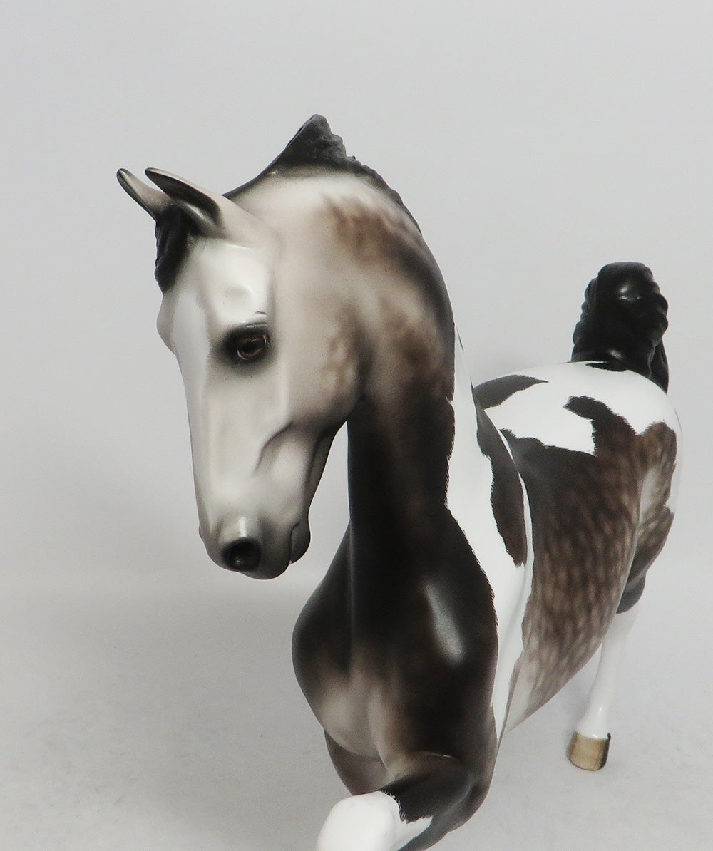 SCRIRELLO-OOAK DAPLED GREY TOBIANO SADDLEBRED 10/26/18