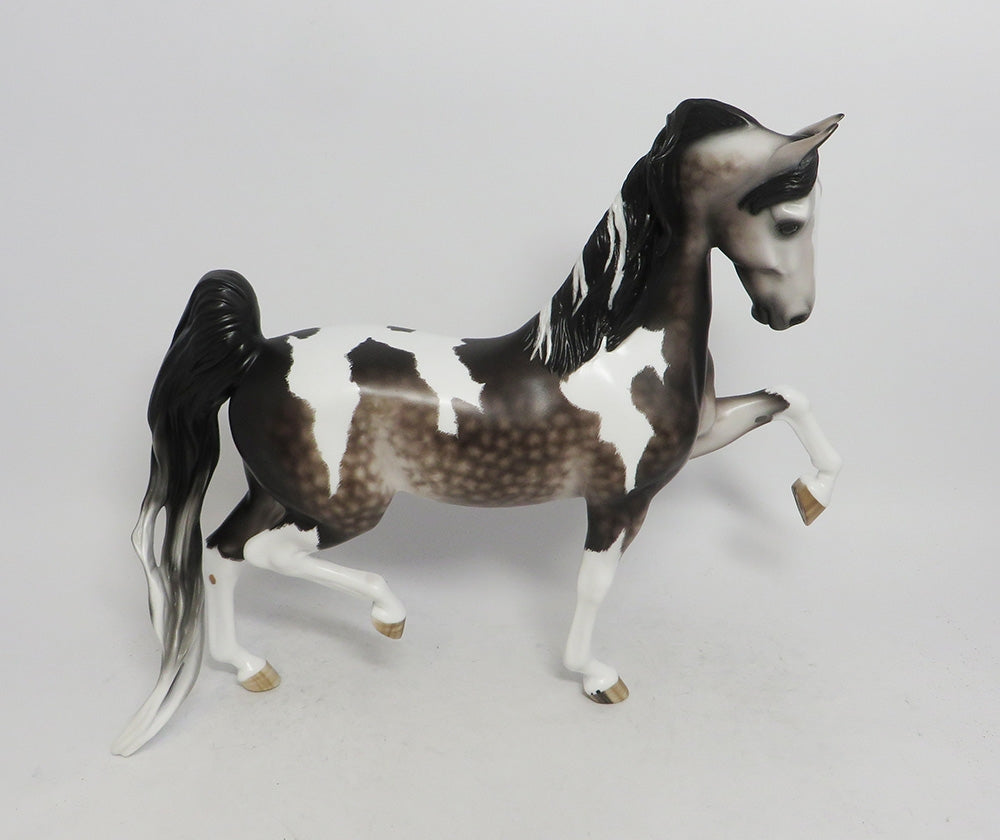 SCRIRELLO-OOAK DAPLED GREY TOBIANO SADDLEBRED 10/26/18