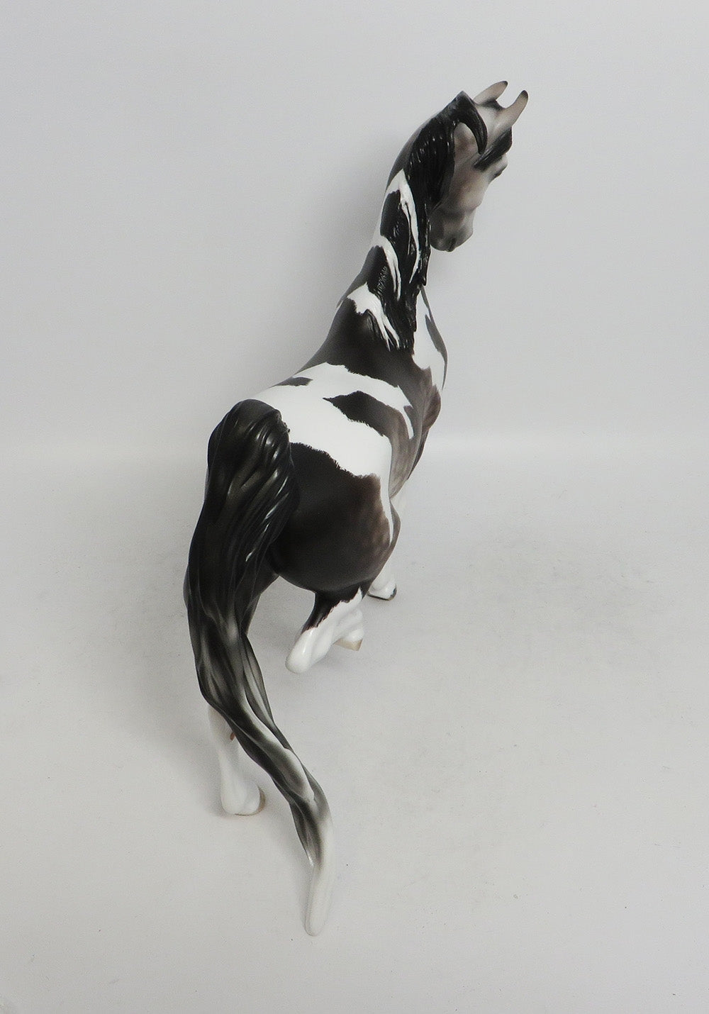 SCRIRELLO-OOAK DAPLED GREY TOBIANO SADDLEBRED 10/26/18