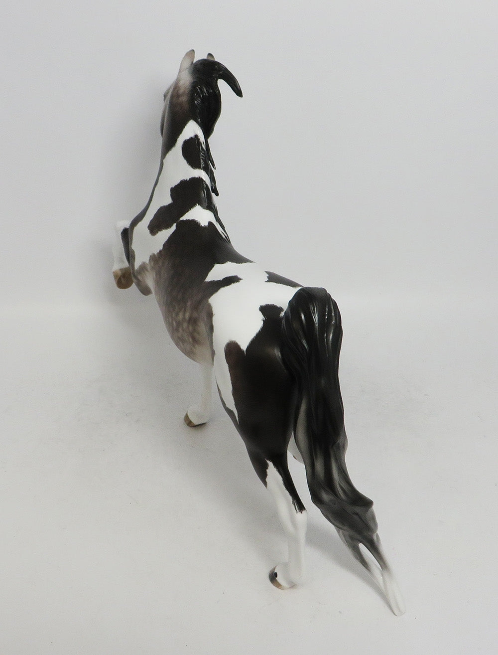 SCRIRELLO-OOAK DAPLED GREY TOBIANO SADDLEBRED 10/26/18