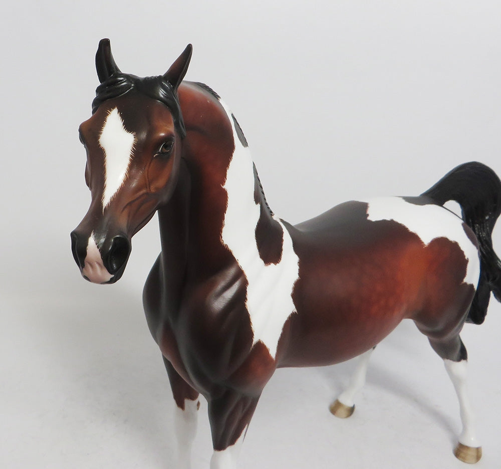 INSPECTOR KEMP- OOAK DAPPLED BAY TOBIANO ARABIAN 10/26/18