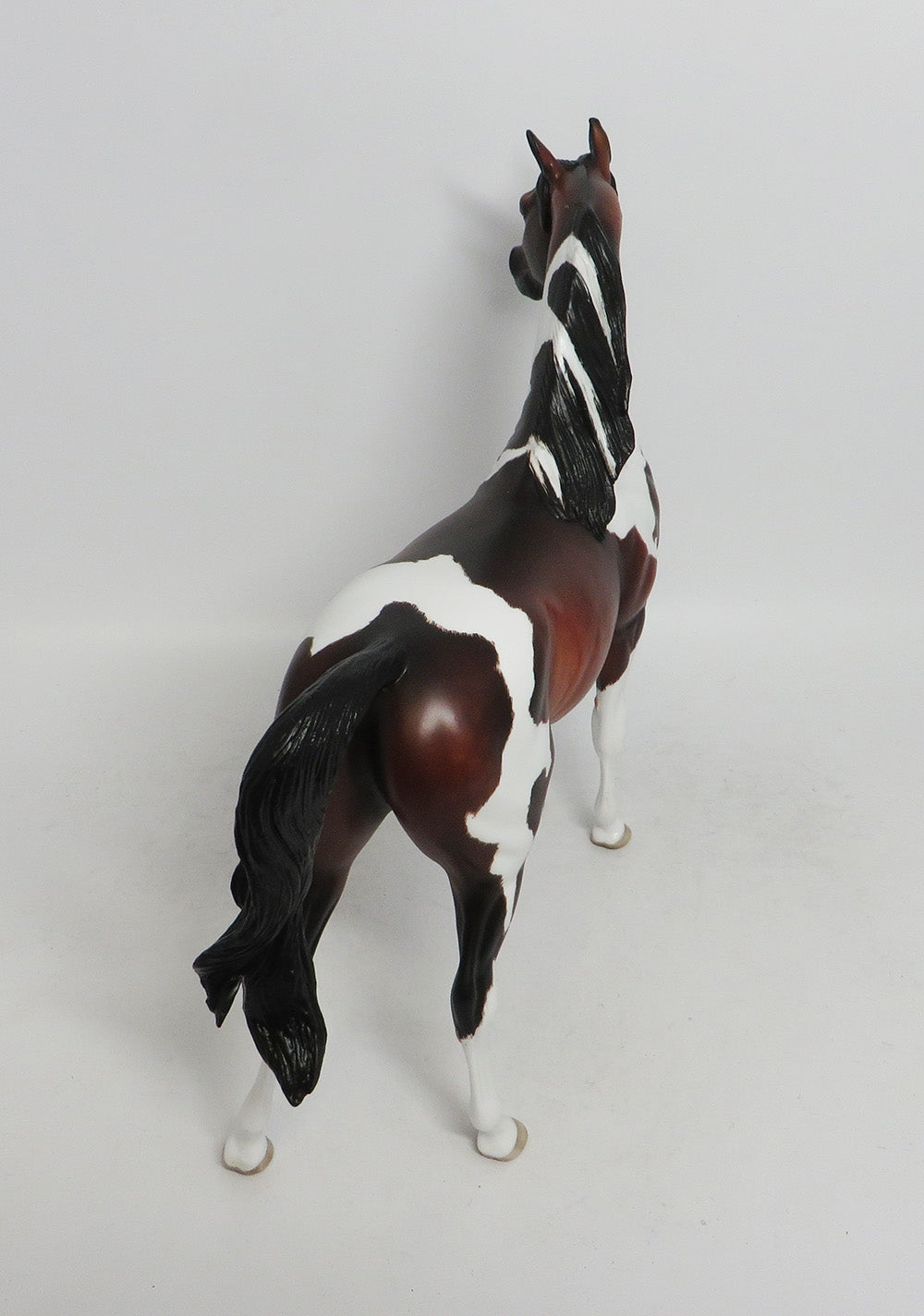 INSPECTOR KEMP- OOAK DAPPLED BAY TOBIANO ARABIAN 10/26/18