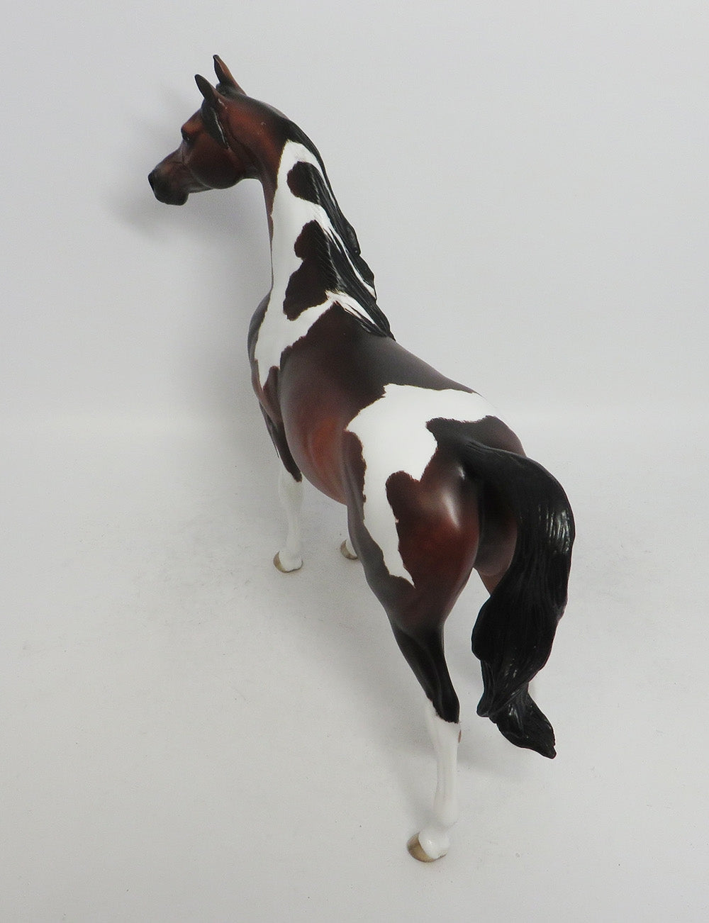 INSPECTOR KEMP- OOAK DAPPLED BAY TOBIANO ARABIAN 10/26/18