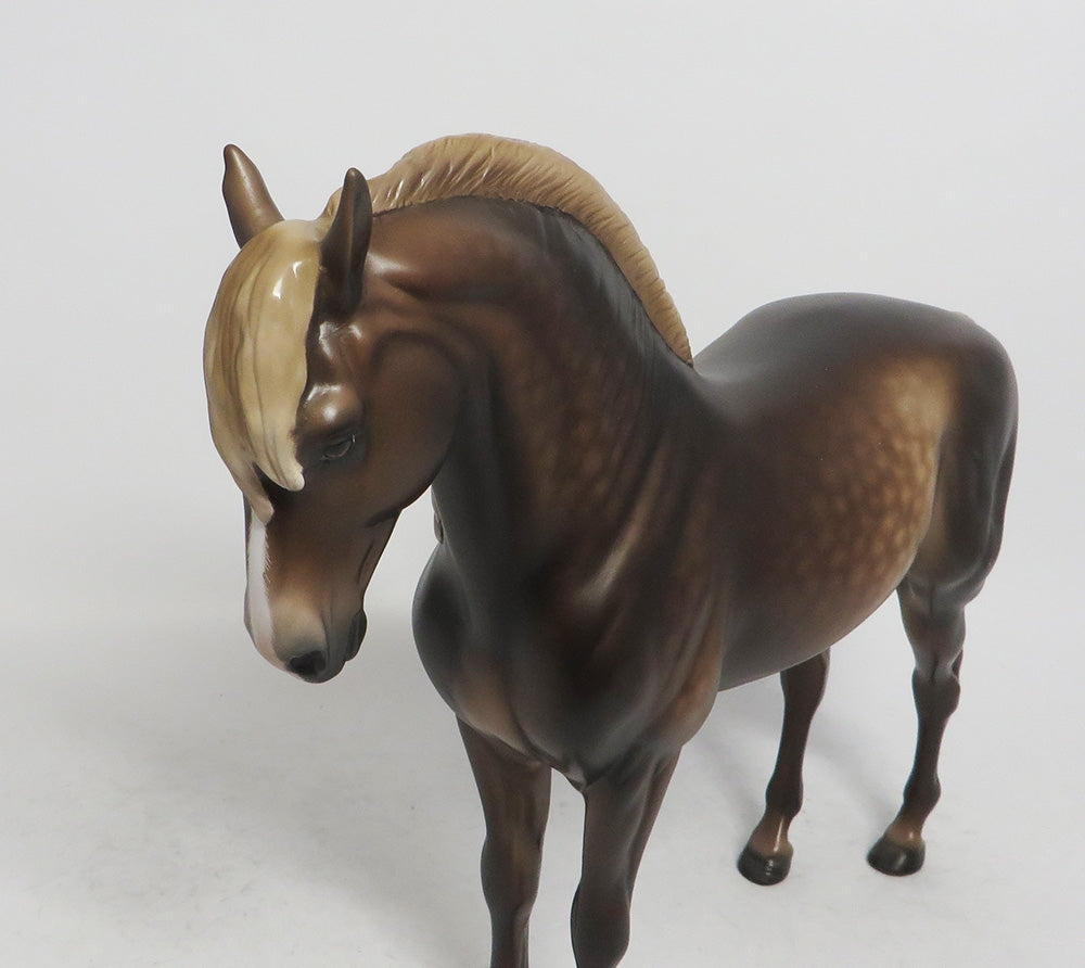 KALABAR- OOAK CHOCOLATE SORREL DAPPLED ANDALUSIAN 10/26/18