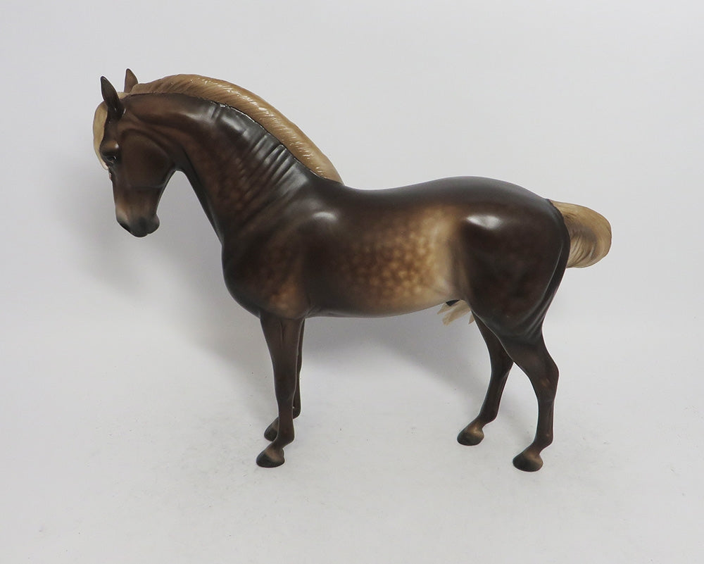 KALABAR- OOAK CHOCOLATE SORREL DAPPLED ANDALUSIAN 10/26/18