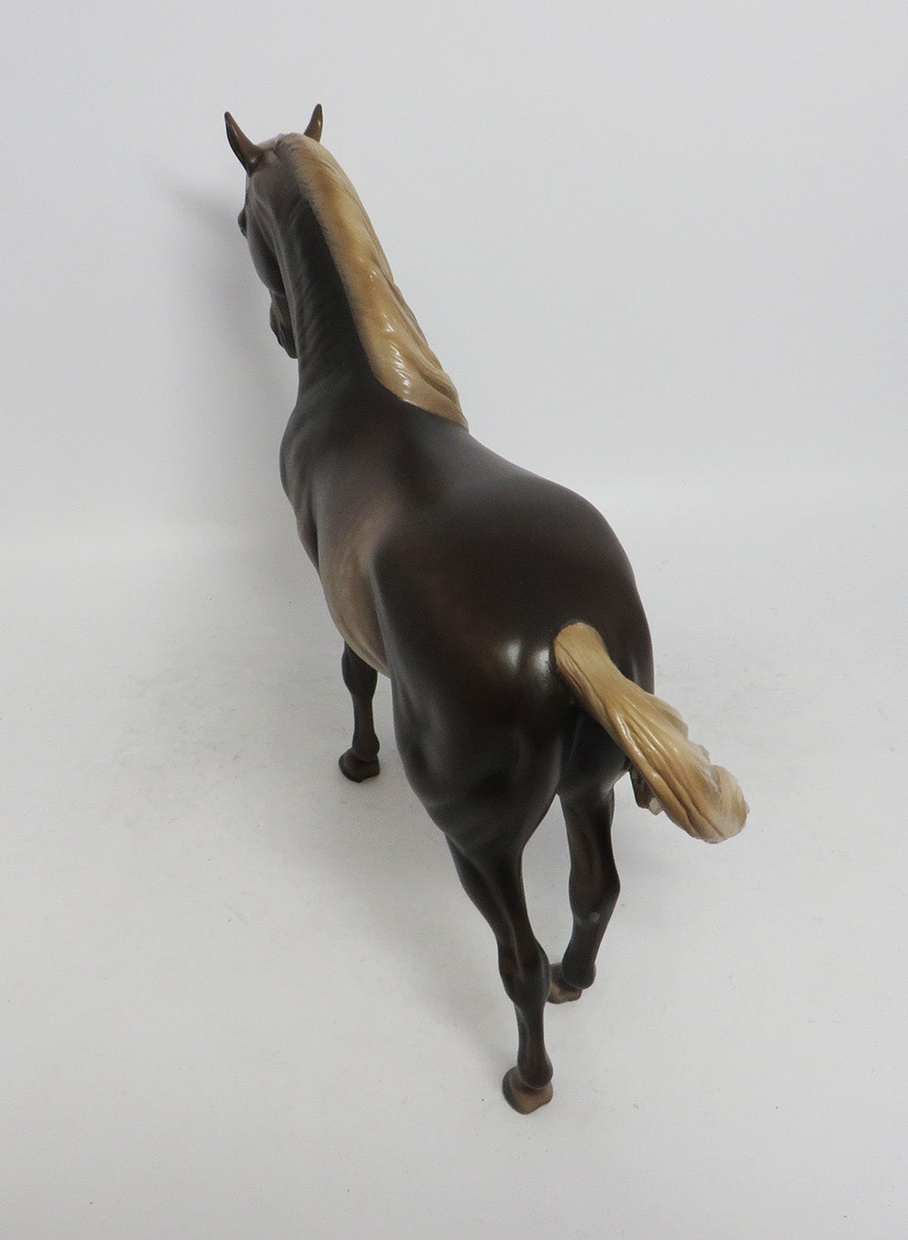 KALABAR- OOAK CHOCOLATE SORREL DAPPLED ANDALUSIAN 10/26/18