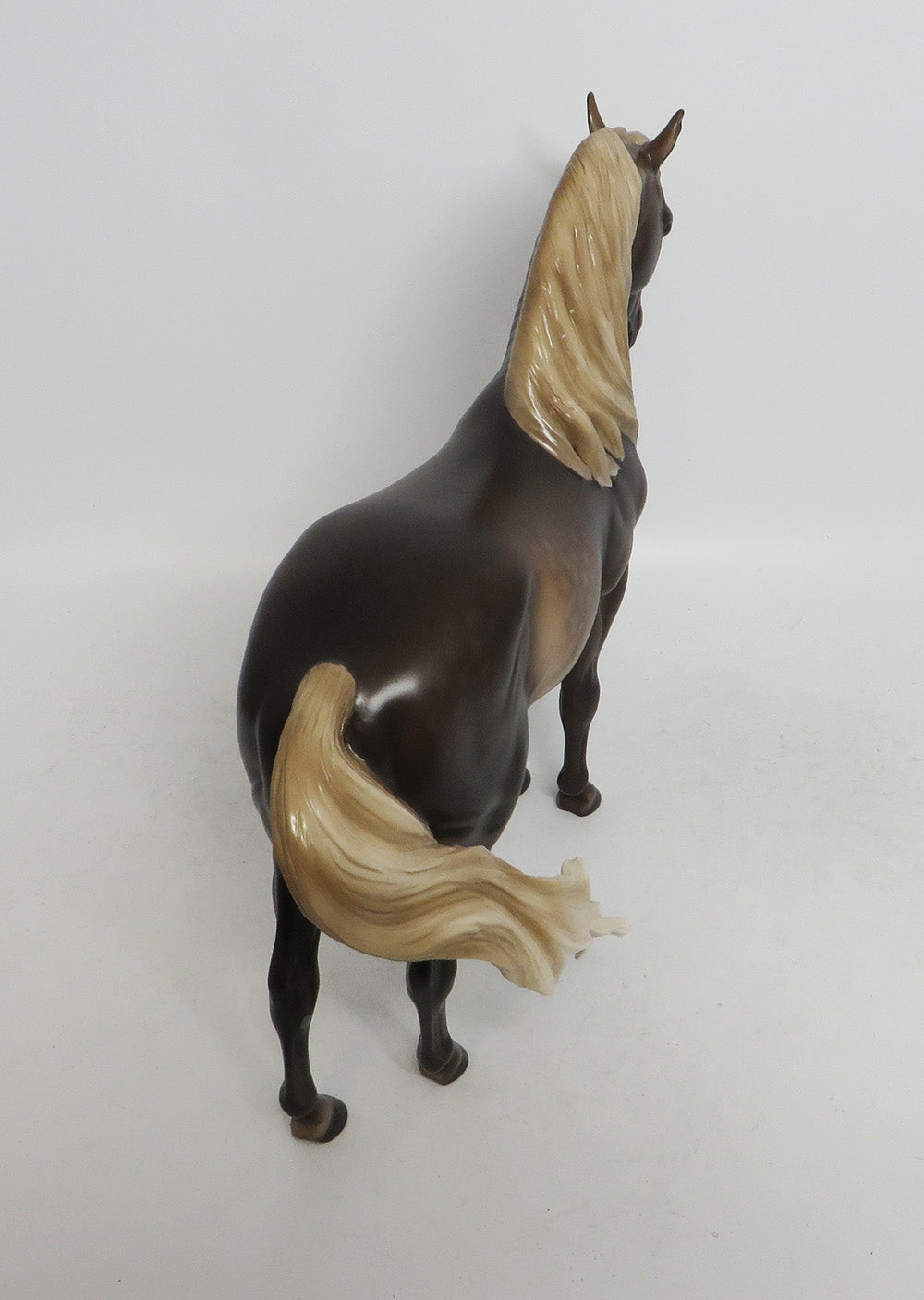 KALABAR- OOAK CHOCOLATE SORREL DAPPLED ANDALUSIAN 10/26/18