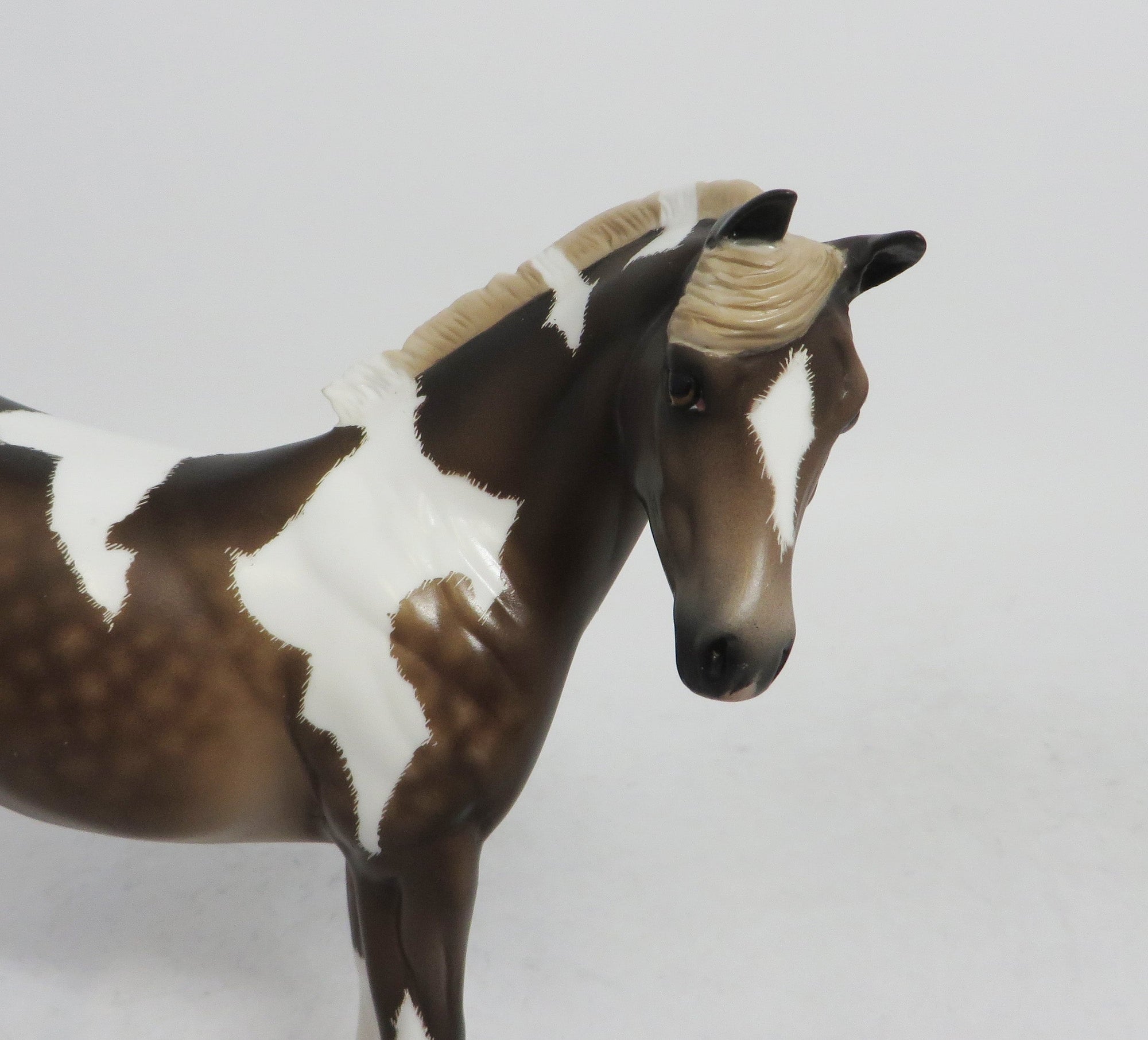 MARNIE-OOAK WEANLING CHOCOLATE SORREL TOBIANO WEANLING 10/26/18