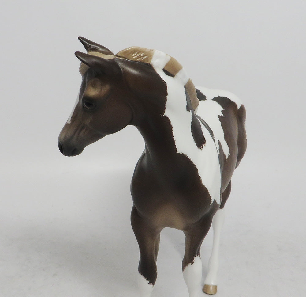 MARNIE-OOAK WEANLING CHOCOLATE SORREL TOBIANO WEANLING 10/26/18