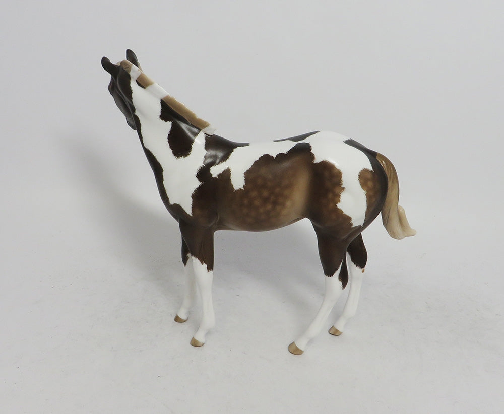 MARNIE-OOAK WEANLING CHOCOLATE SORREL TOBIANO WEANLING 10/26/18