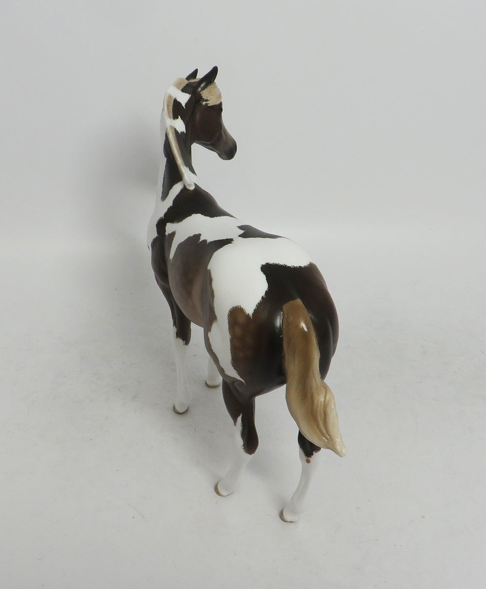 MARNIE-OOAK WEANLING CHOCOLATE SORREL TOBIANO WEANLING 10/26/18