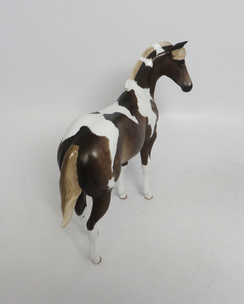 MARNIE-OOAK WEANLING CHOCOLATE SORREL TOBIANO WEANLING 10/26/18