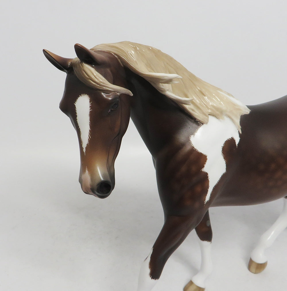 SCOOBY DOO- OOAK CHOCOLATE SORREL PONY 10/26/18