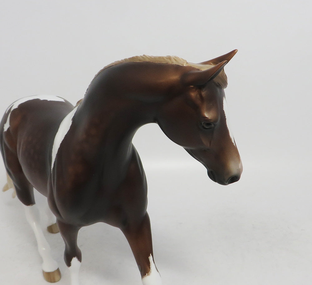 SCOOBY DOO- OOAK CHOCOLATE SORREL PONY 10/26/18