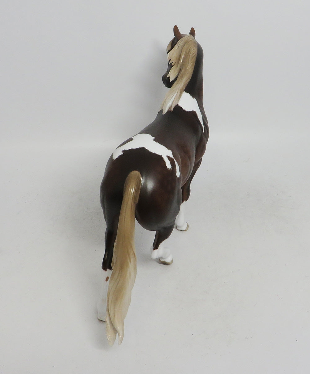 SCOOBY DOO- OOAK CHOCOLATE SORREL PONY 10/26/18