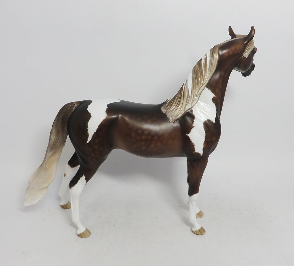 GOZER- OOAK CHOCOLATE SORREL TOBIANO ARABIAN 10/26/18
