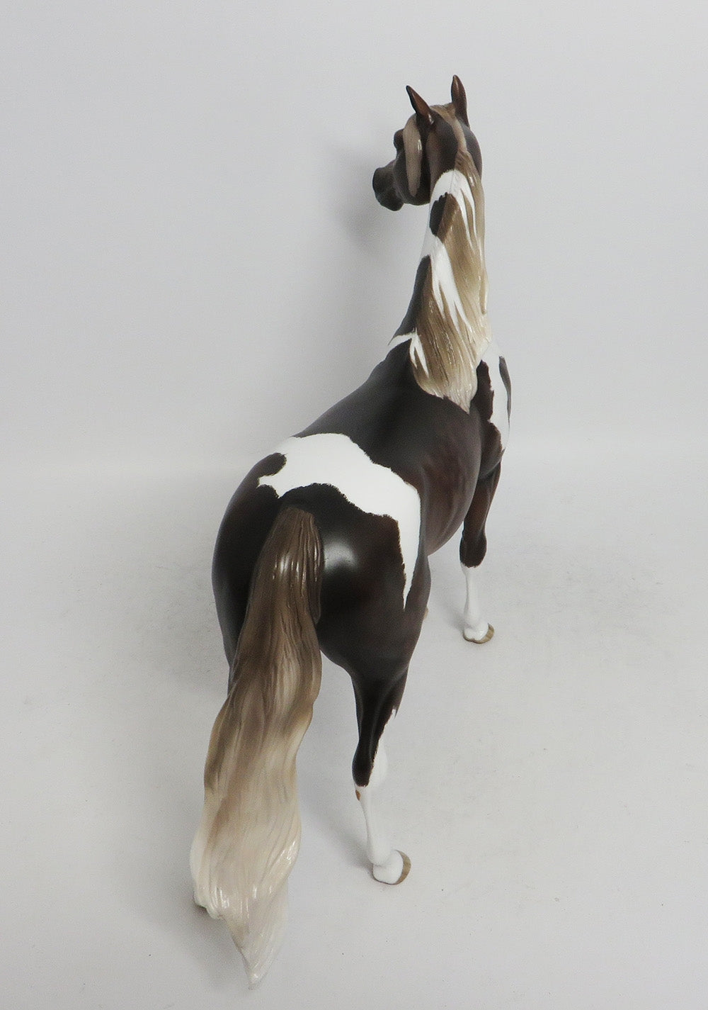 GOZER- OOAK CHOCOLATE SORREL TOBIANO ARABIAN 10/26/18