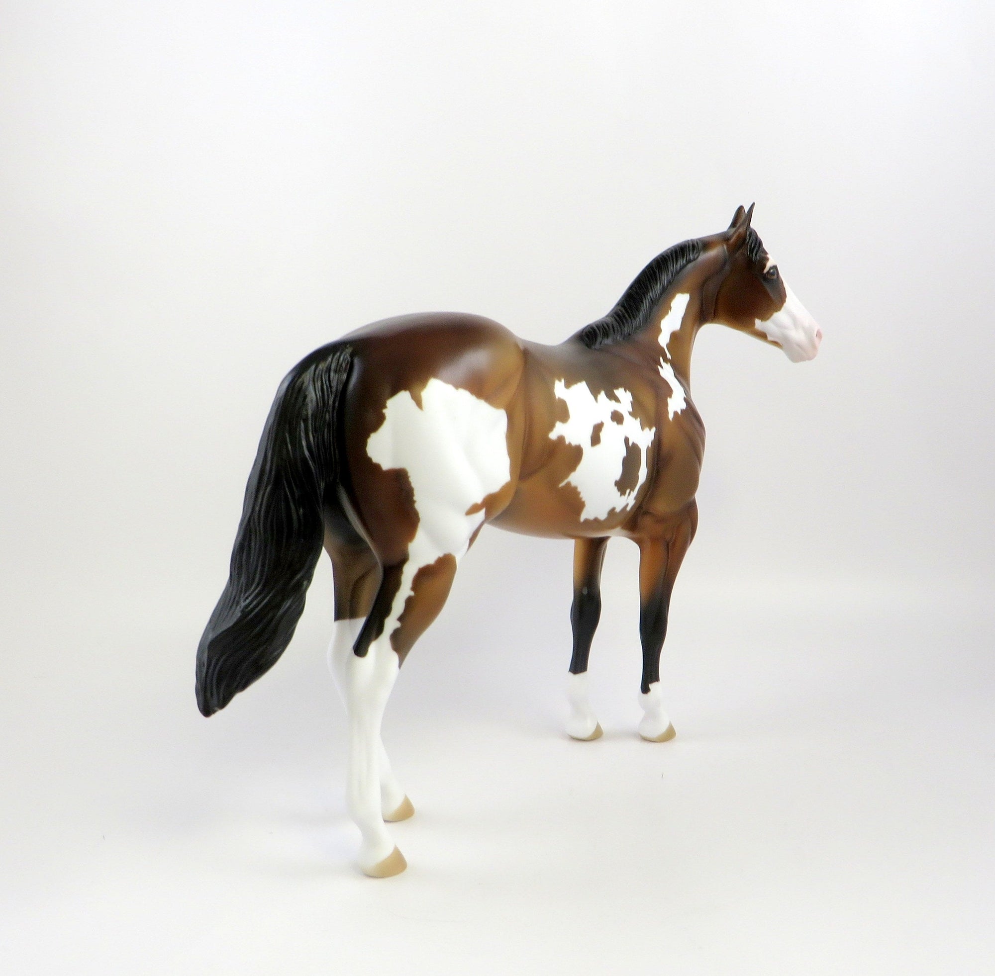 KNOX - OOAK BAY PINTO ISH MODEL HORSE BY KAYLA  WESSE 7/2/19