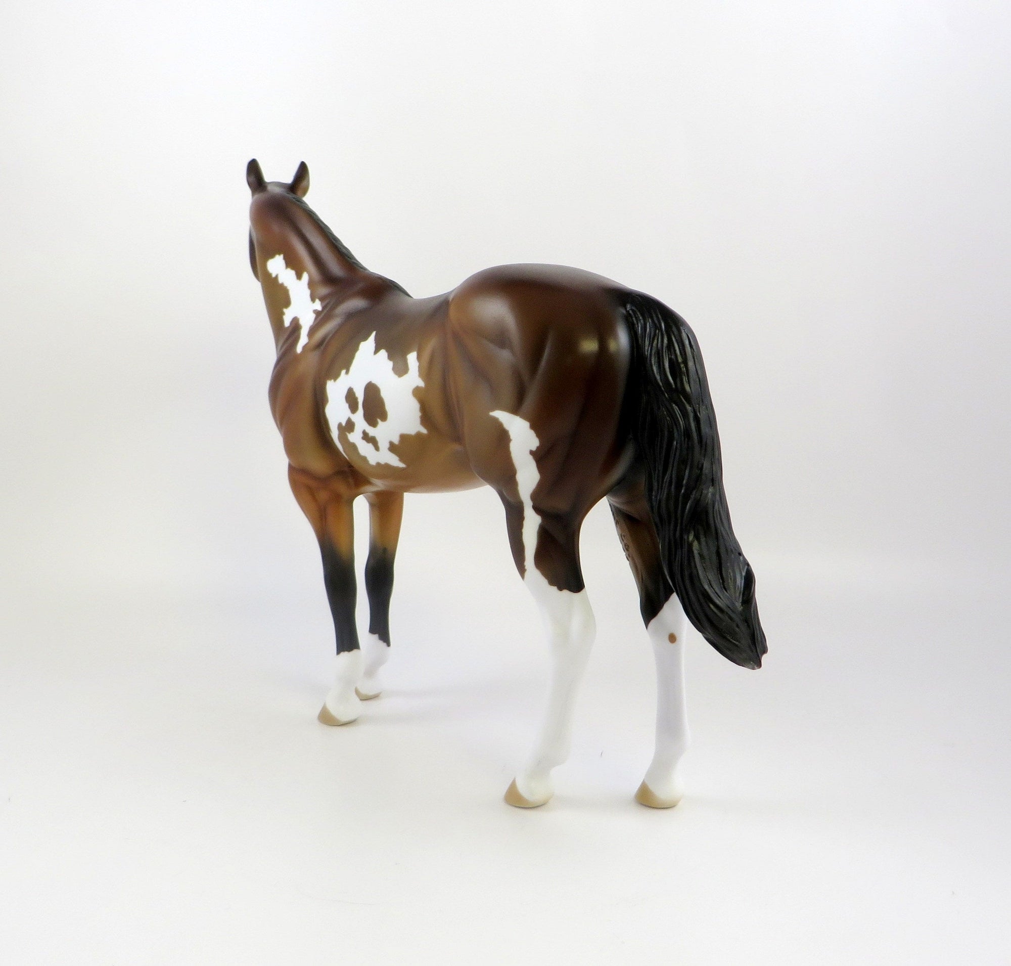 KNOX - OOAK BAY PINTO ISH MODEL HORSE BY KAYLA  WESSE 7/2/19