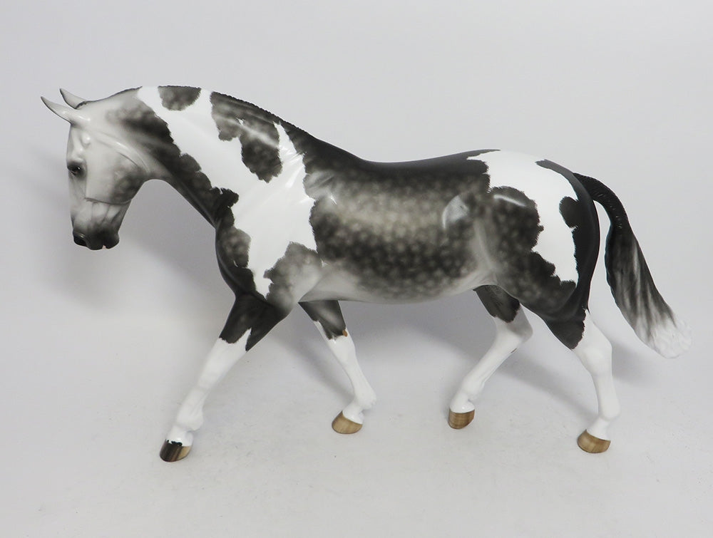 VENKMAN-OOAK ETCHED DAPPLE GREY PINTO IRISH DRAFT BY SHERYL LEISURE 11/2/18
