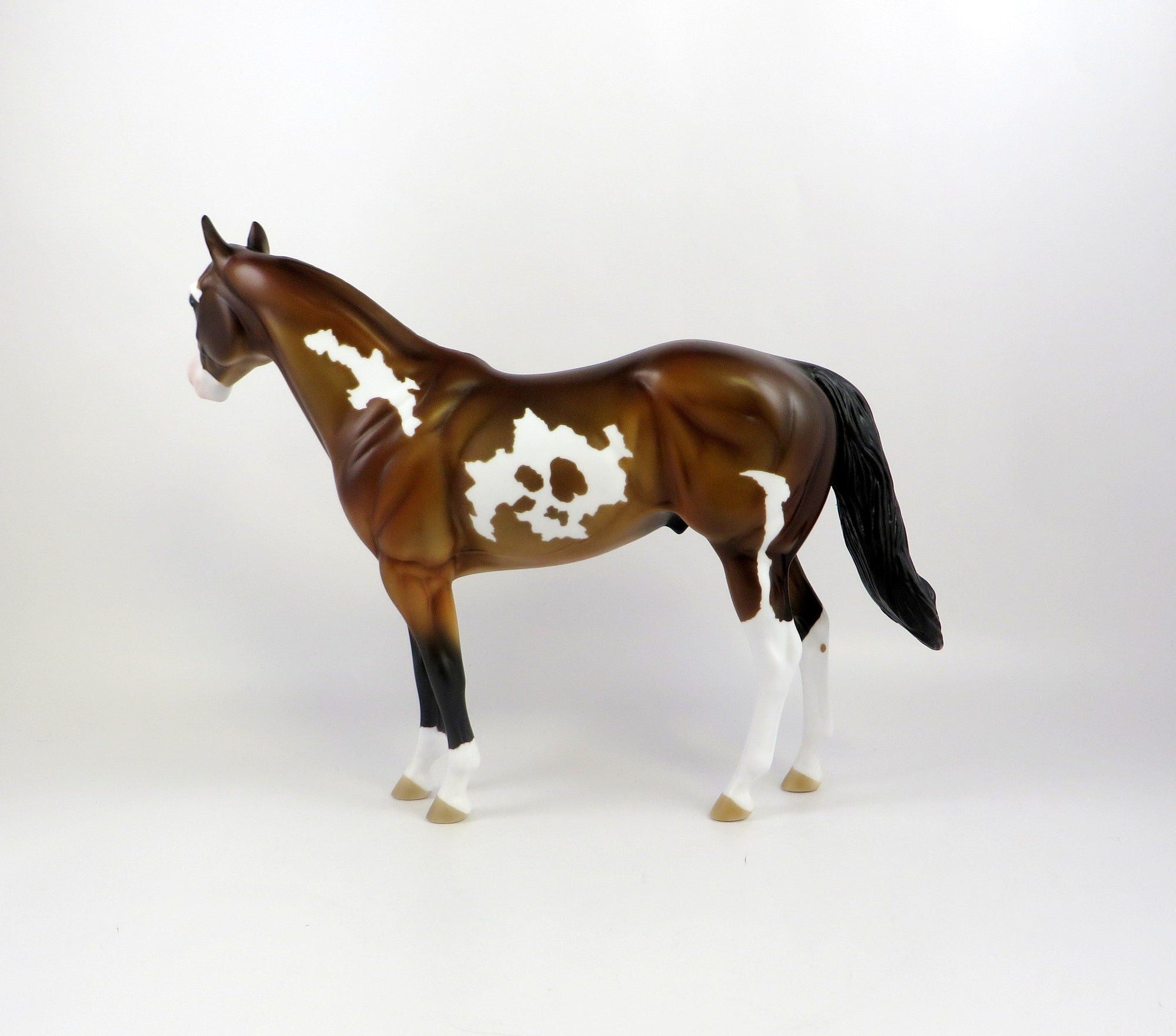 KNOX - OOAK BAY PINTO ISH MODEL HORSE BY KAYLA  WESSE 7/2/19