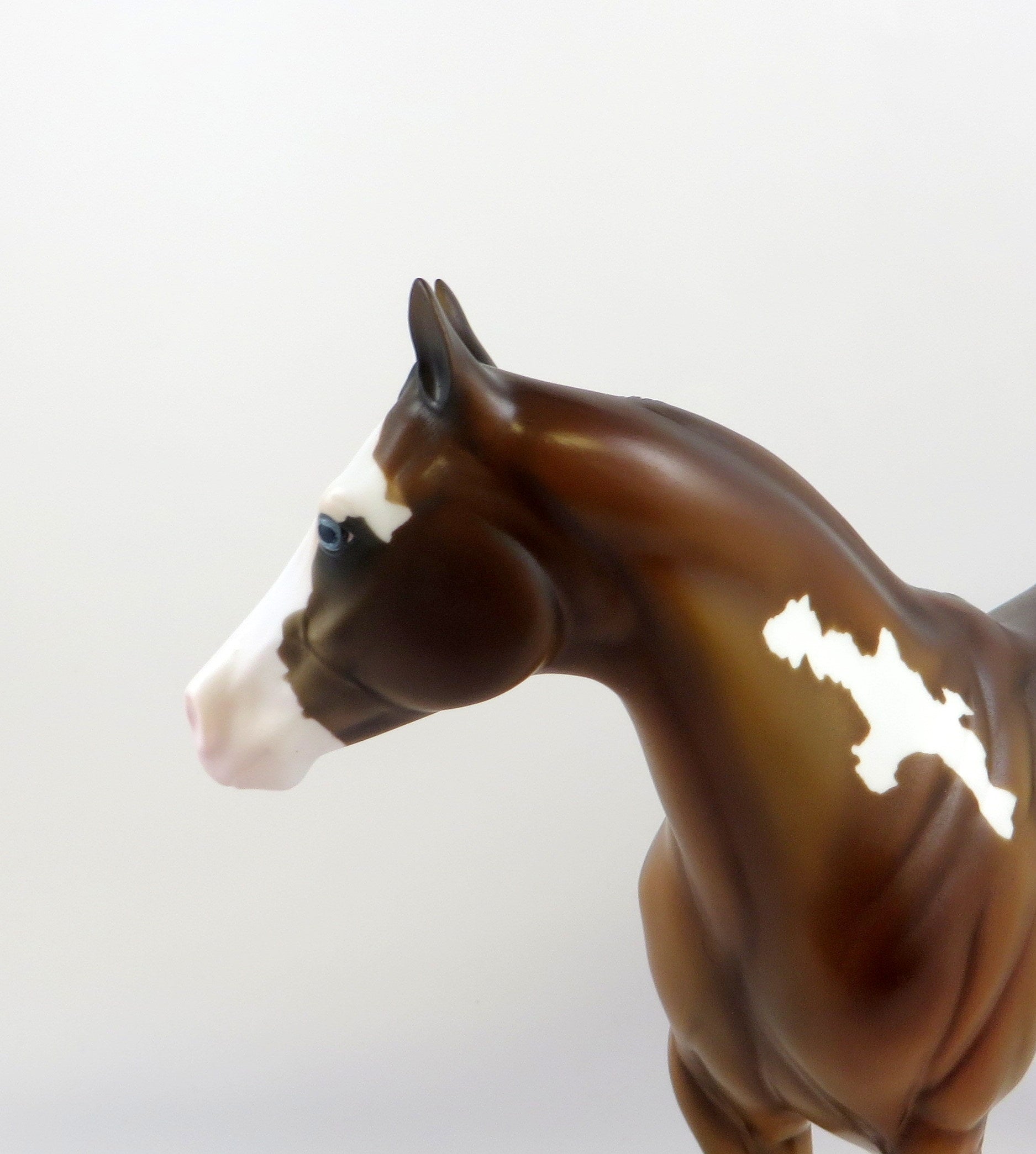 KNOX - OOAK BAY PINTO ISH MODEL HORSE BY KAYLA  WESSE 7/2/19