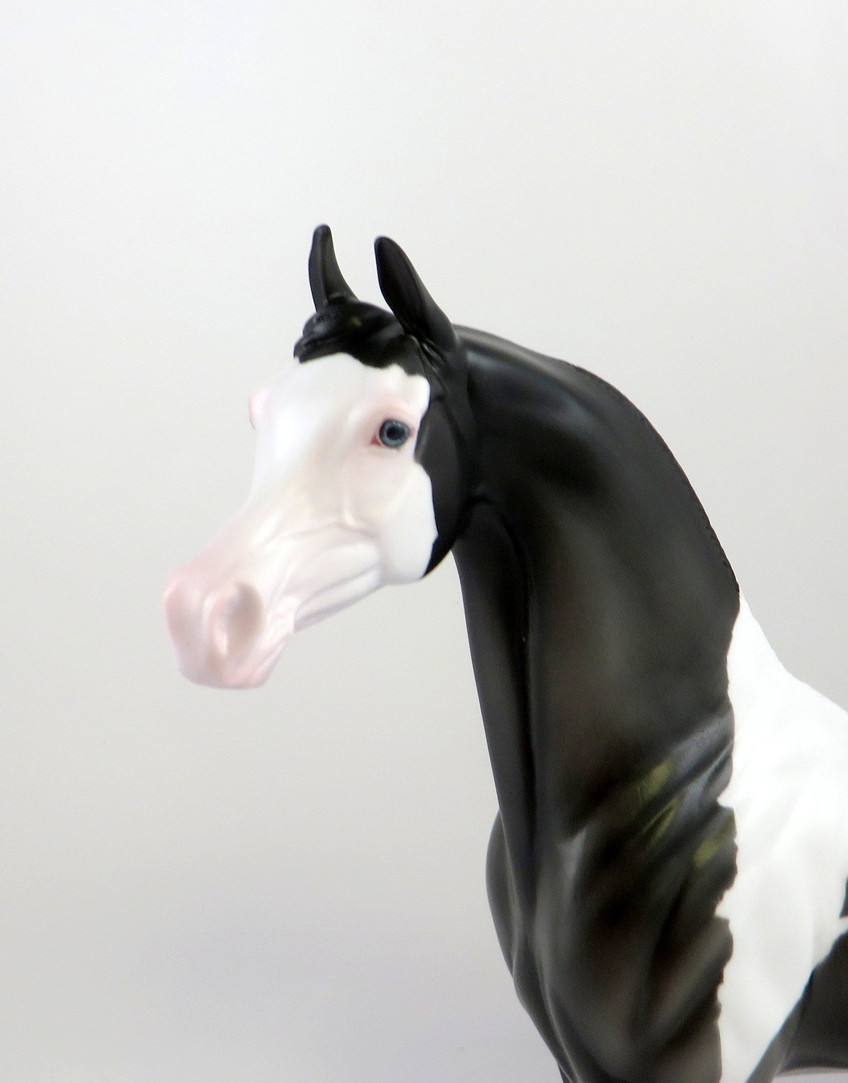 ALPHA -- OOAK -- DARK GREY PINTO ARABIAN BY KAYLA WESSE 7/2/19