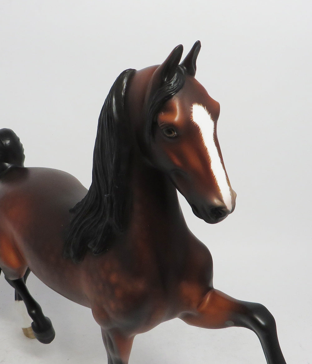 TULLY- OOAK BAY DAPPLED SADDLEDBRED 10/26/18