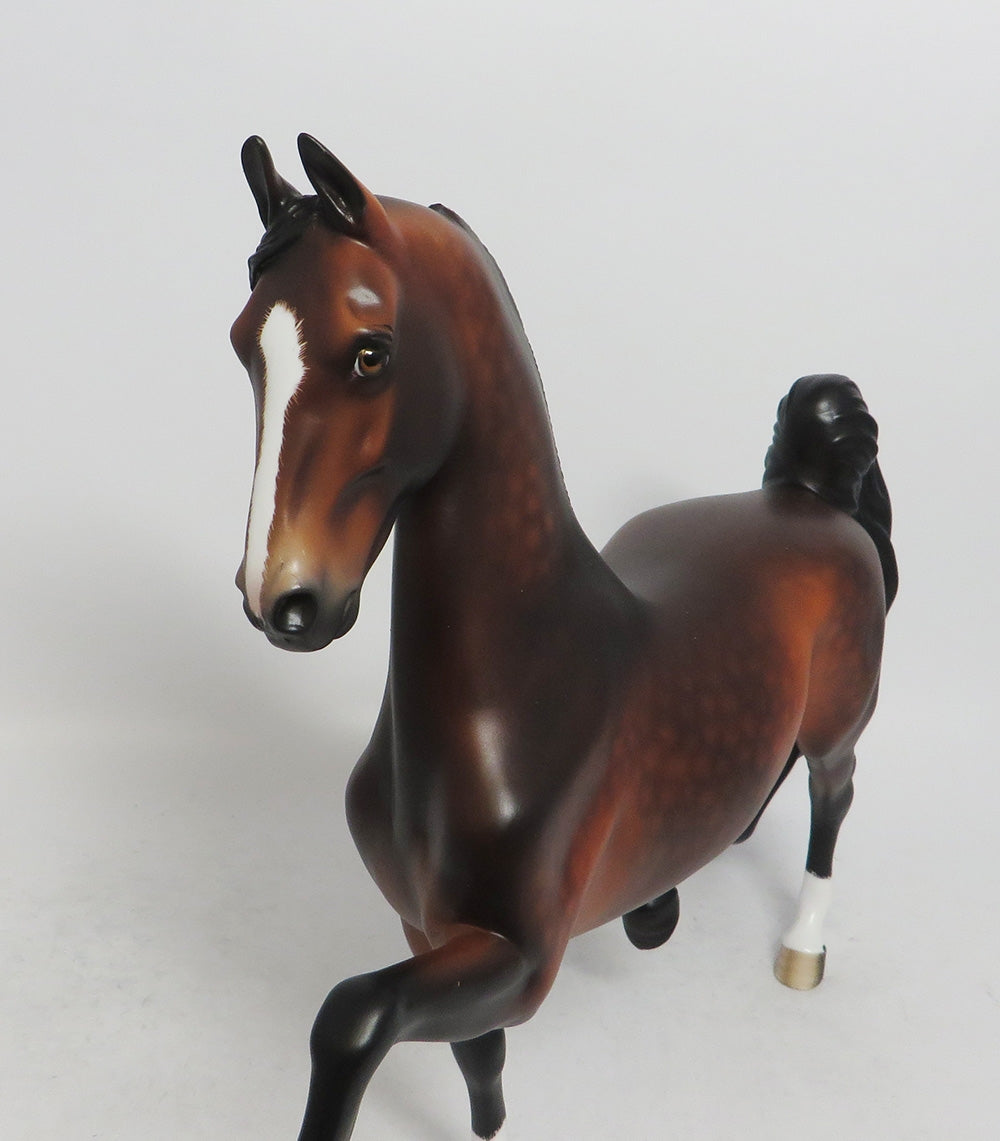 TULLY- OOAK BAY DAPPLED SADDLEDBRED 10/26/18