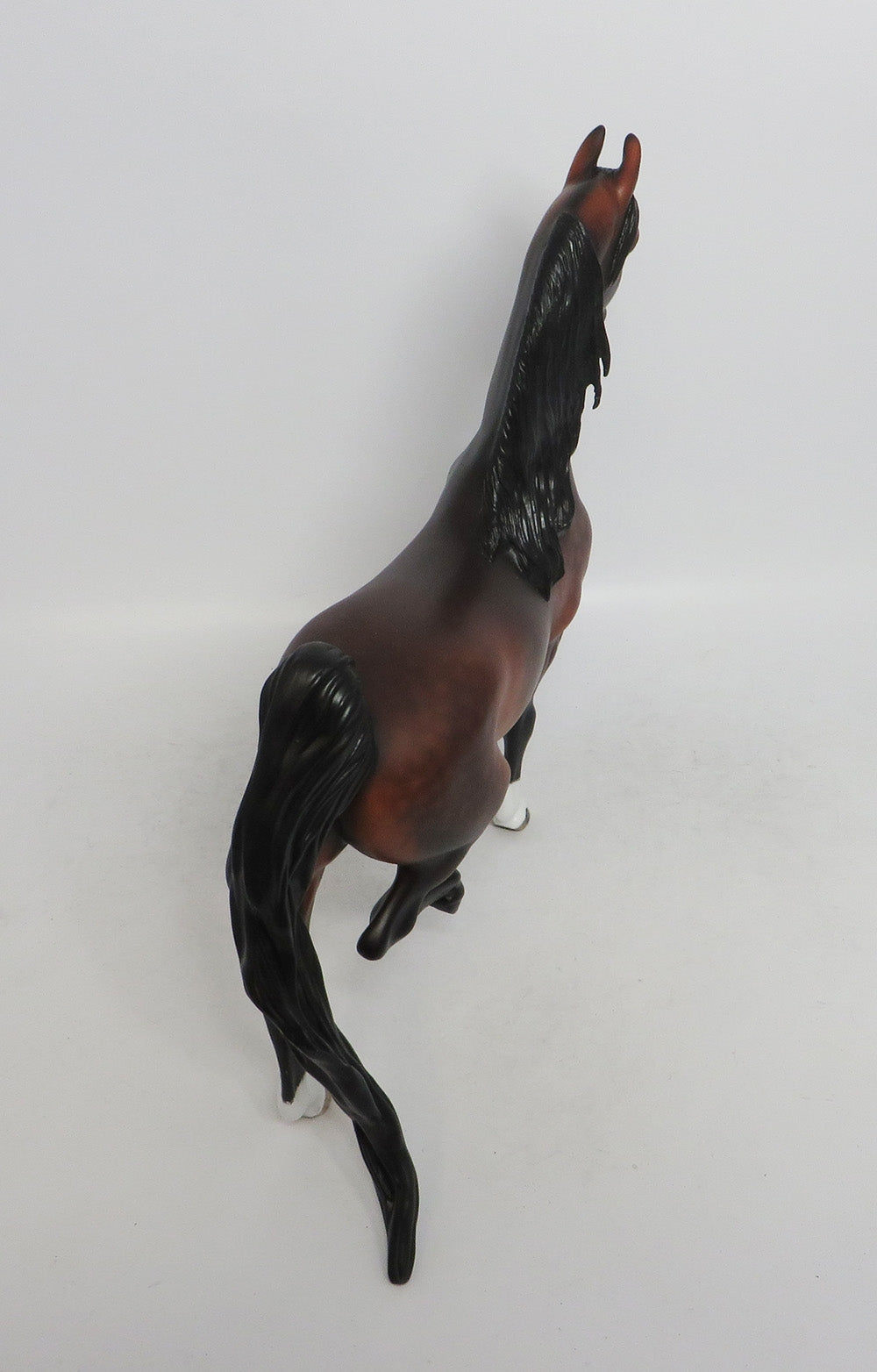 TULLY- OOAK BAY DAPPLED SADDLEDBRED 10/26/18