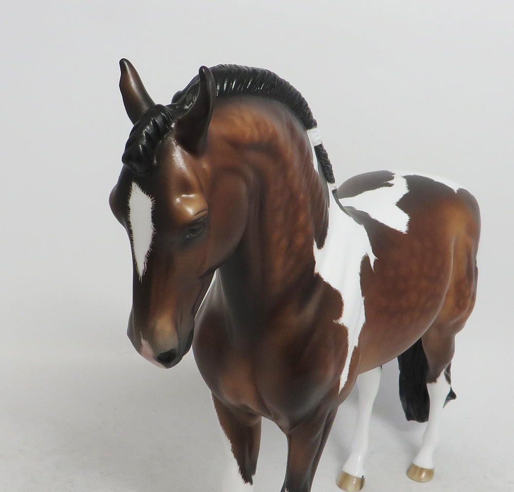 SPENGLER- OOAK DAPPLE BAY TOBIANO ANDALUSIAN 10/26/18