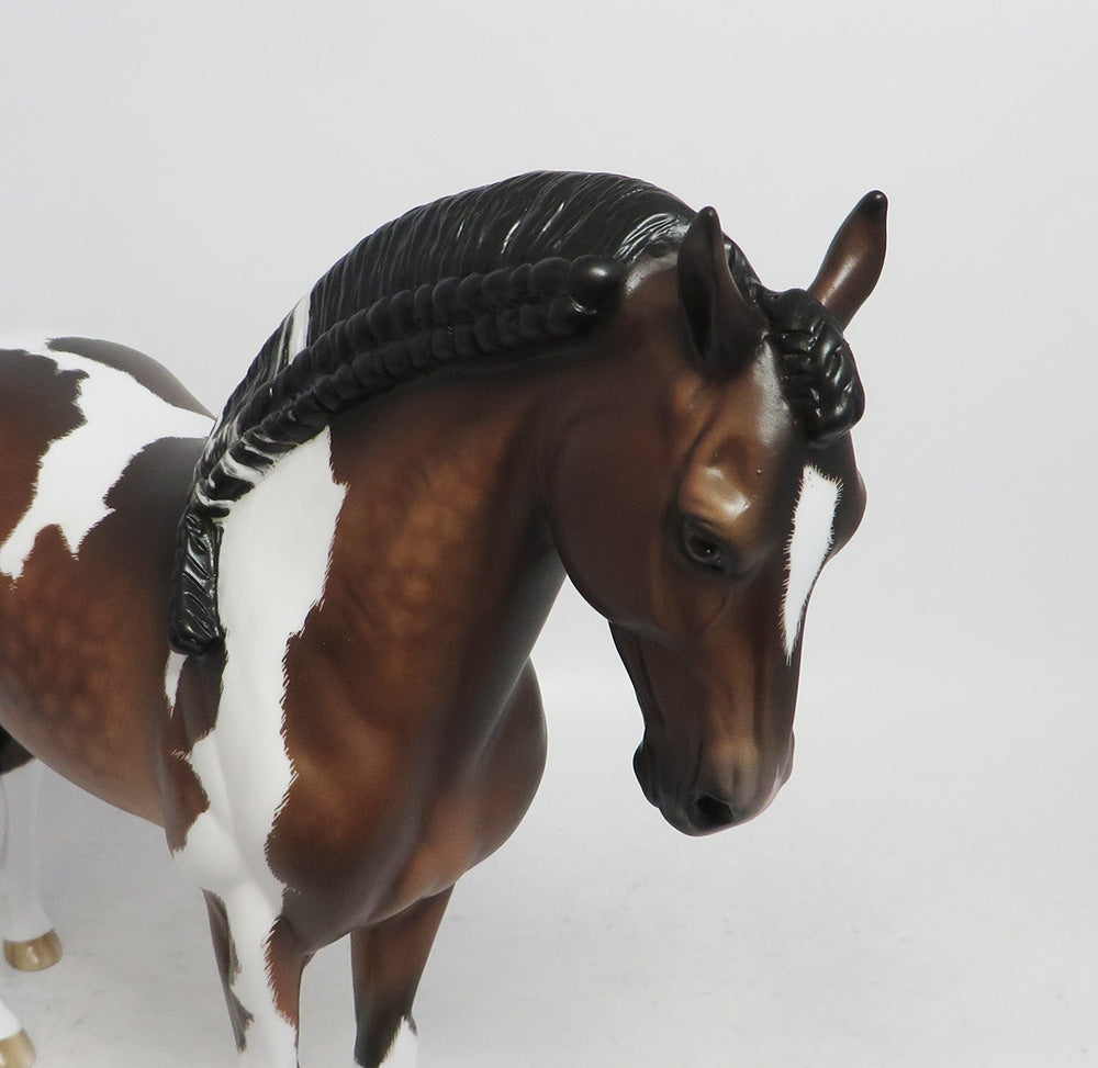 SPENGLER- OOAK DAPPLE BAY TOBIANO ANDALUSIAN 10/26/18