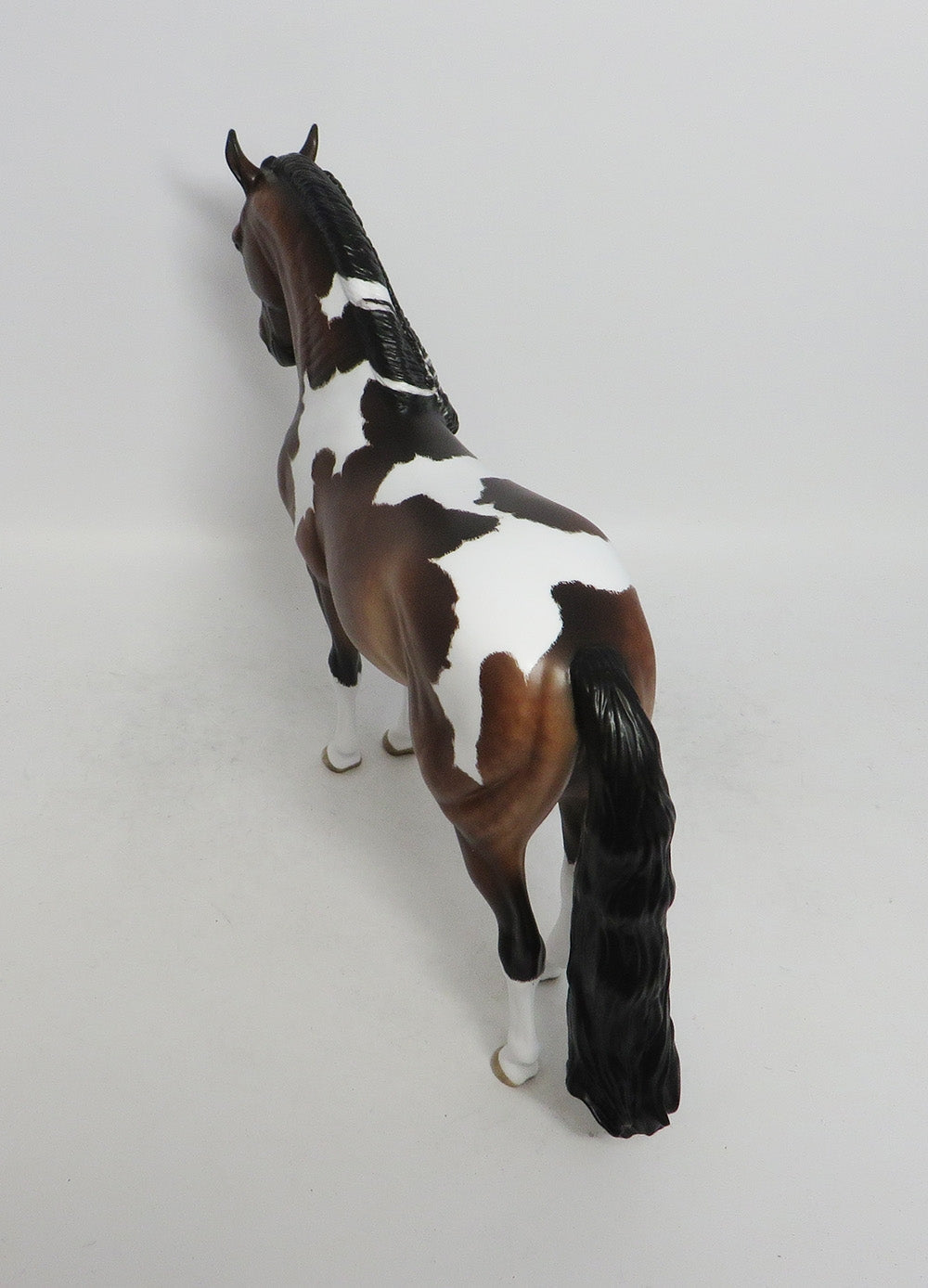 SPENGLER- OOAK DAPPLE BAY TOBIANO ANDALUSIAN 10/26/18