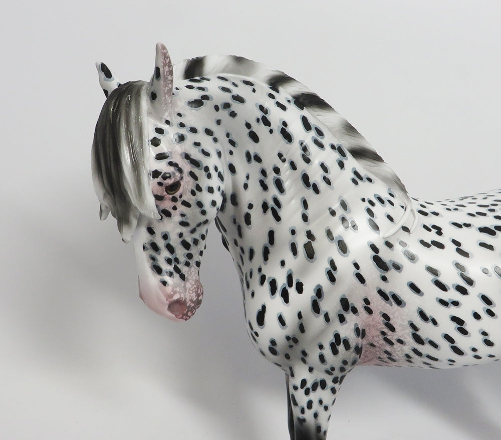 FRIGHT NIGHT- OOAK APPALOOSA ANDALUSIAN MODEL HORSE 25018