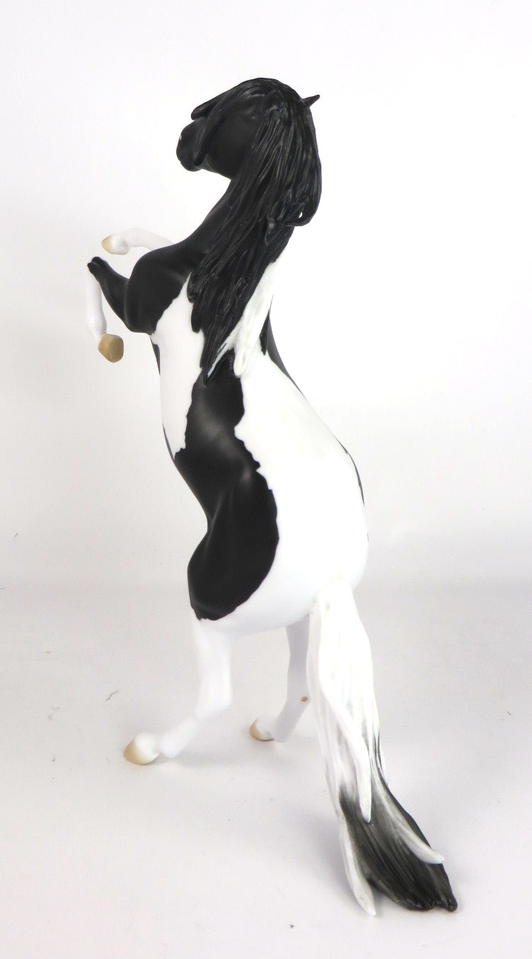 BLACK FRIDAY PRE-ORDER-WASHAKIE-LE-33 BLACK AND WHITE PAINT MUSTANG-WYOMING ADVENTURE 11/29/19