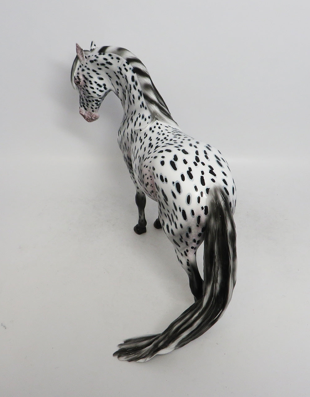 FRIGHT NIGHT- OOAK APPALOOSA ANDALUSIAN MODEL HORSE 25018