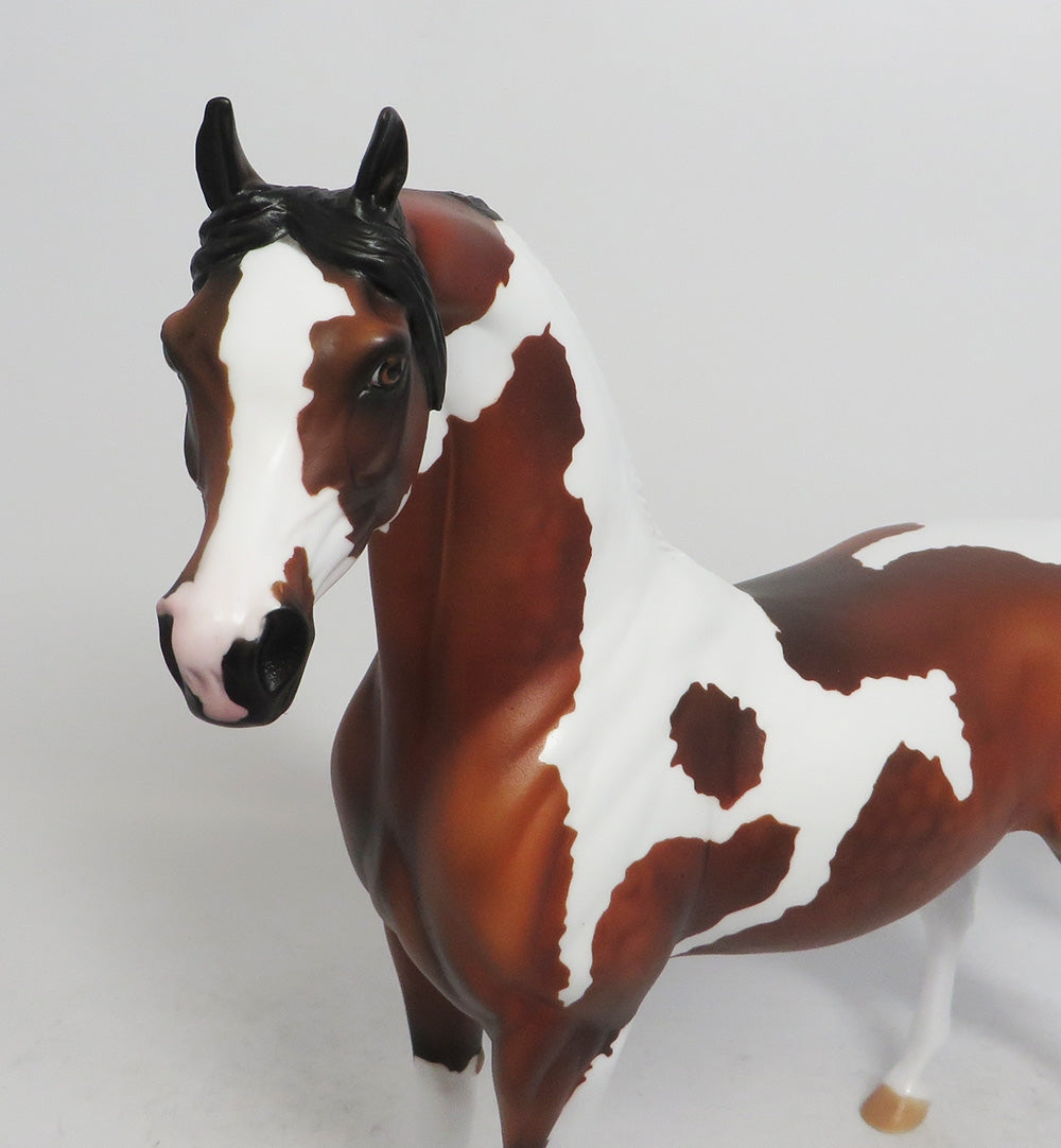 HANNIBAL-LE-3 DAPPLE BAY PINTO ARABIAN MODEL HORSE 2018