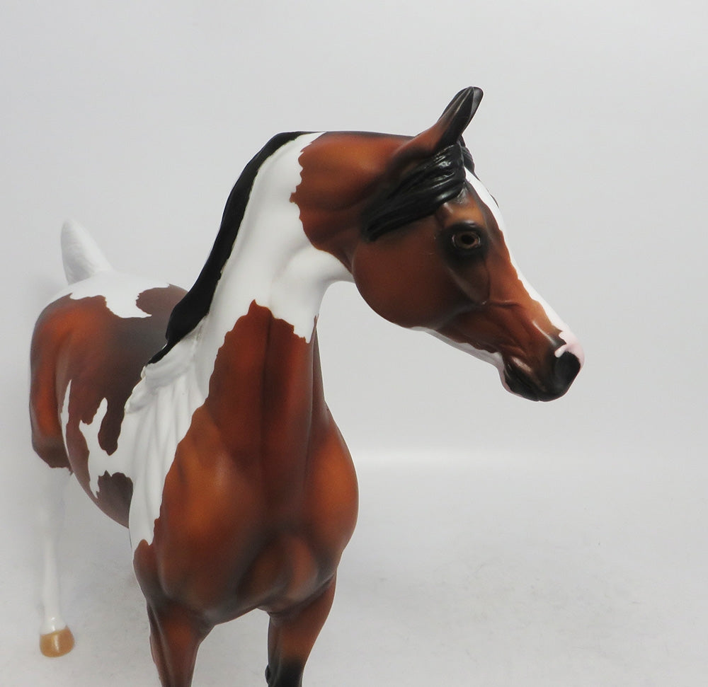 HANNIBAL-LE-3 DAPPLE BAY PINTO ARABIAN MODEL HORSE 2018