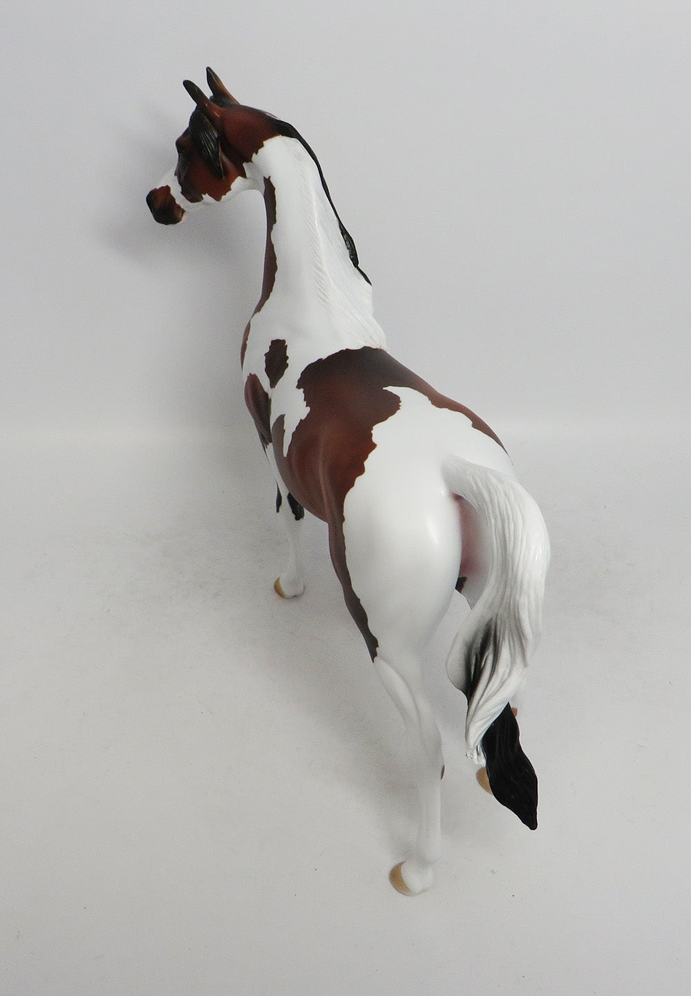 HANNIBAL-LE-3 DAPPLE BAY PINTO ARABIAN MODEL HORSE 2018