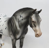 Appaloosa