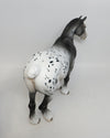 BELLE-OOAK APPALOOSA HEAVY DRAFT MARE MM 2018