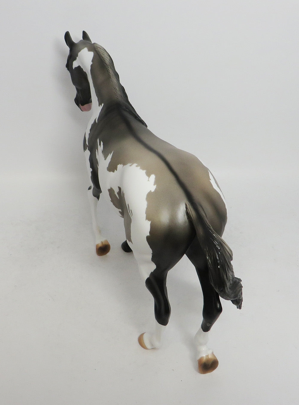 BRAM-OOAK GRULLA PAINT THOROUGHBRED MODEL HORSE MM 2018