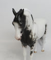 BON AMI-OOAK BLACK SABINO ANDALUSIAN BY SHERYL LEISURE 11/2/18