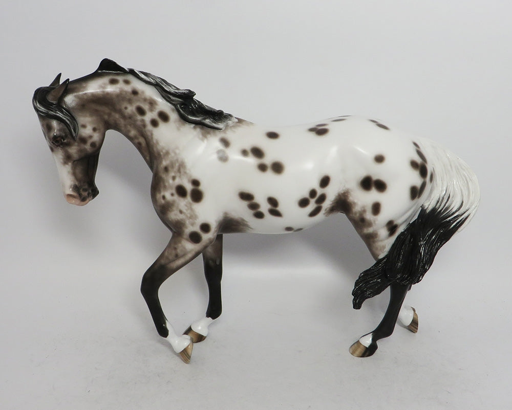 appaloosa