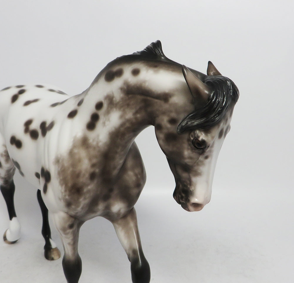 ATTA BOY LUTHER-OOAK APPALOOSA THOROUGHBRED MODEL HORSE BY SHERYL LEISURE 11/2/18