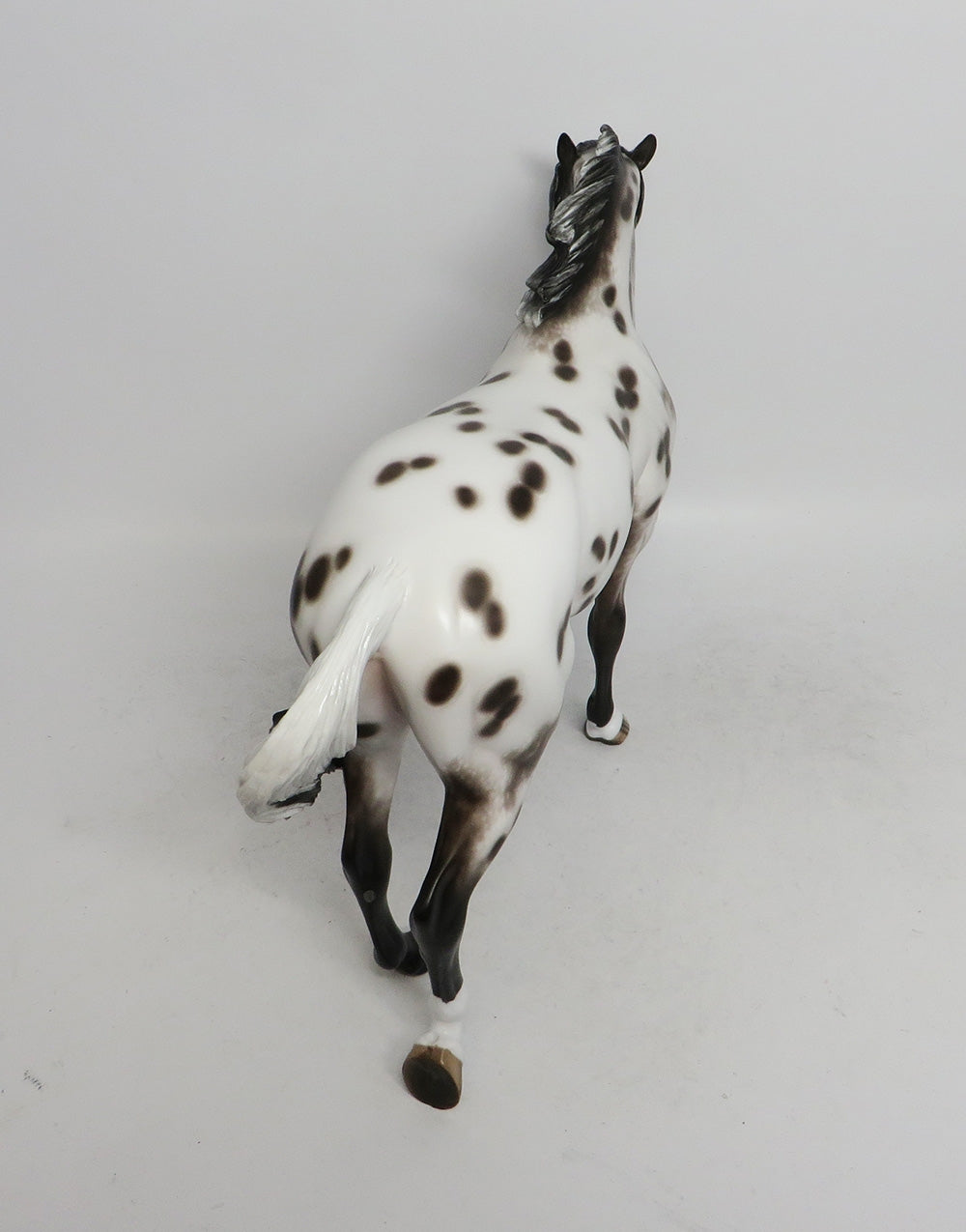 ATTA BOY LUTHER-OOAK APPALOOSA THOROUGHBRED MODEL HORSE BY SHERYL LEISURE 11/2/18