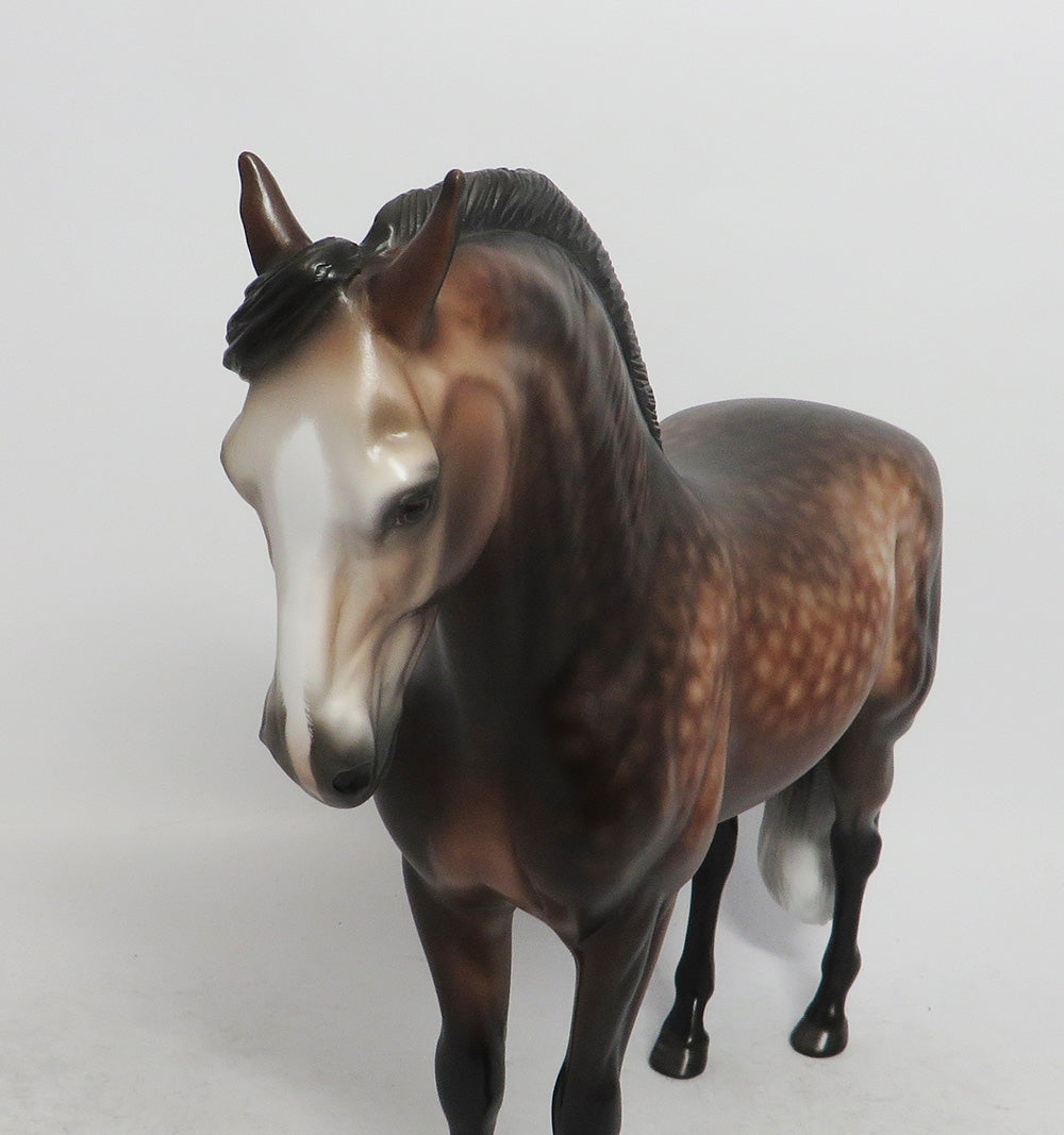 HERMAN-OOAK DARK DAPPLE ROSE GREY ANDALUSIAN BY SHERYL LEISURE 11/2/18