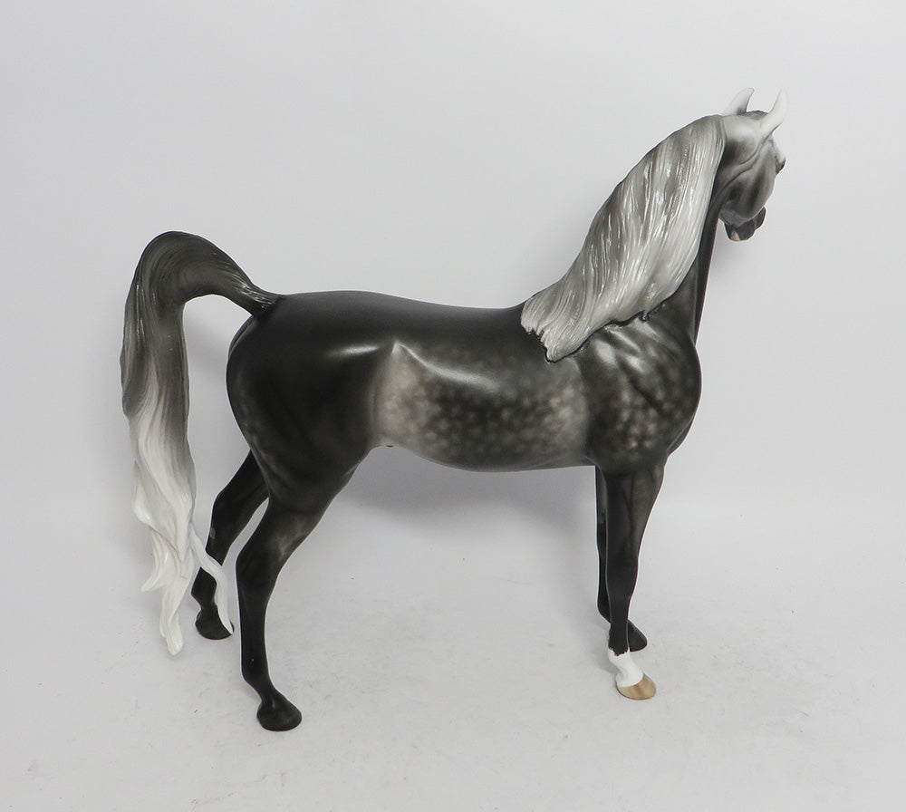 SECRET STAIRCASE-OOAK DARK DAPPLE GREY ARABIAN MODEL SHERYL LEISURE 11/2/18