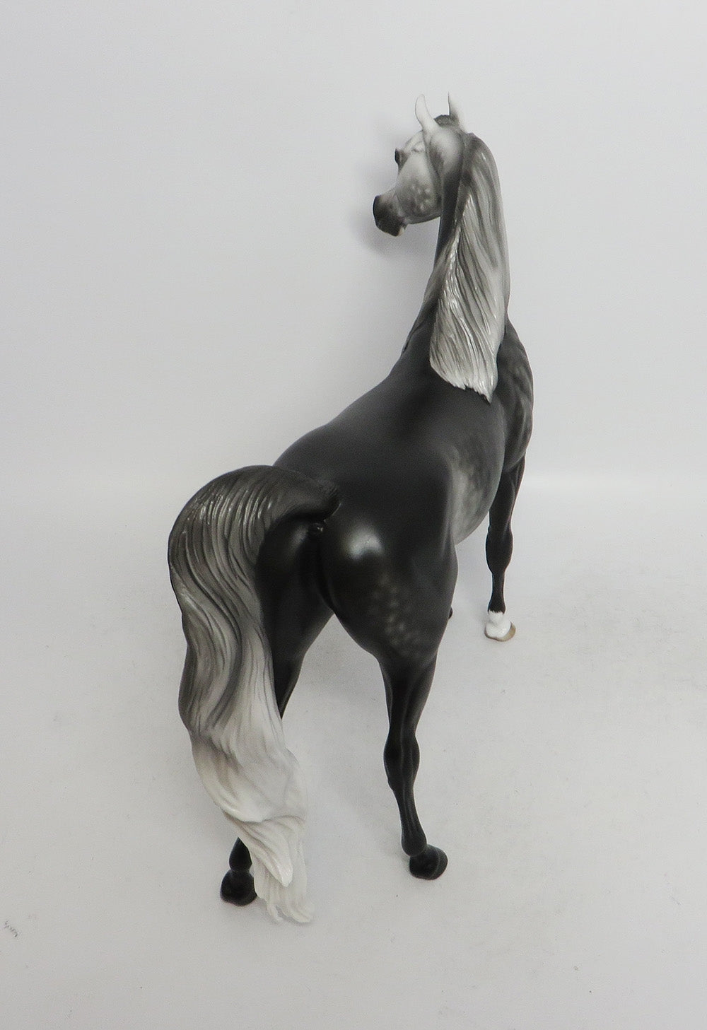 SECRET STAIRCASE-OOAK DARK DAPPLE GREY ARABIAN MODEL SHERYL LEISURE 11/2/18